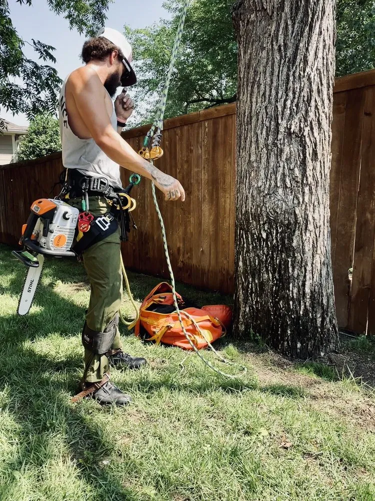 Top-rated residential landscaping in Bridgeport, TX by Natures Barber