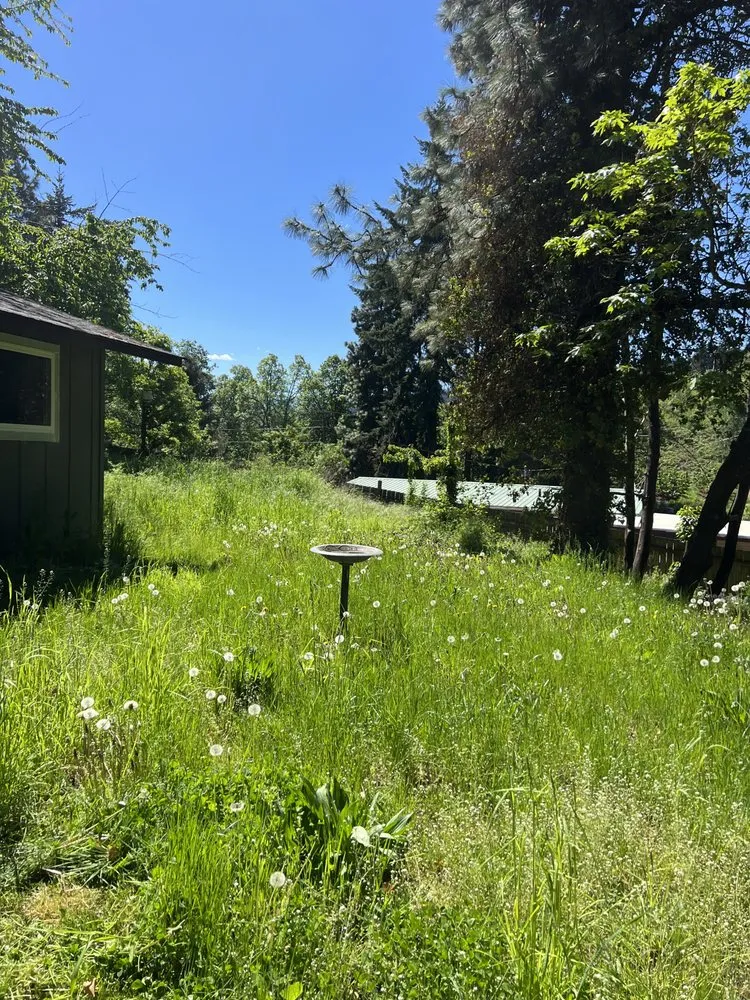 Top-rated yard cleanup service for beautiful yards across Hood River, OR - Natures Barber