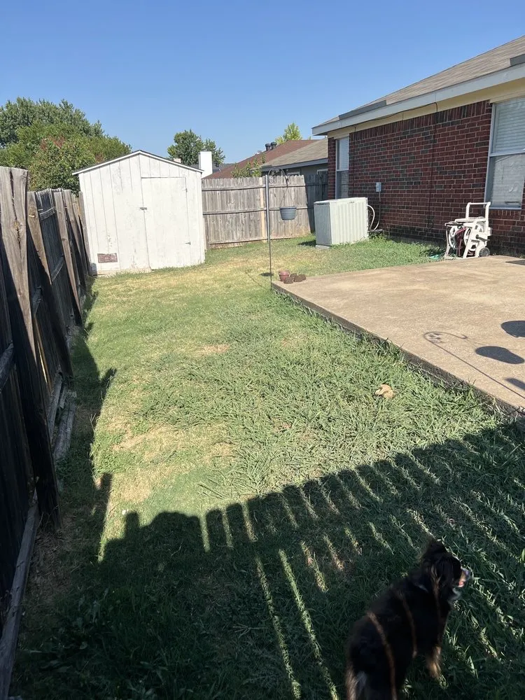 Professional garden landscaping in Fort Worth, TX - Nature’s Barber Tx