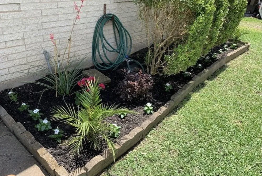 Expert yard maintenance experts serving Fort Worth, TX - Nature’s Barber Tx