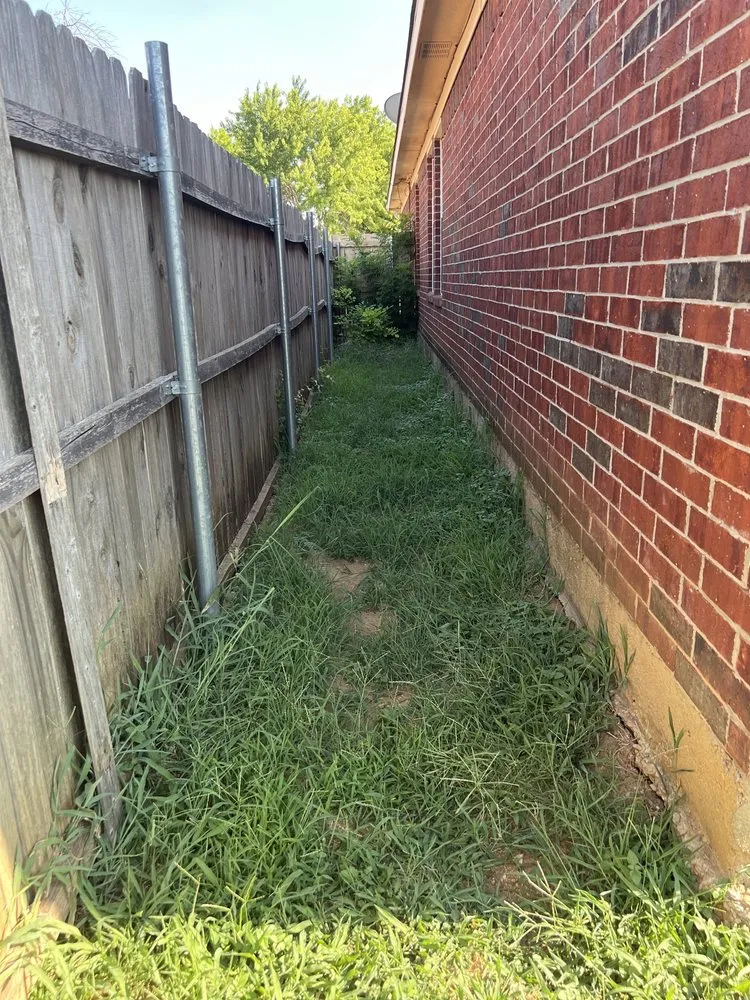 Affordable lawn care service in Fort Worth, TX - Nature’s Barber Tx