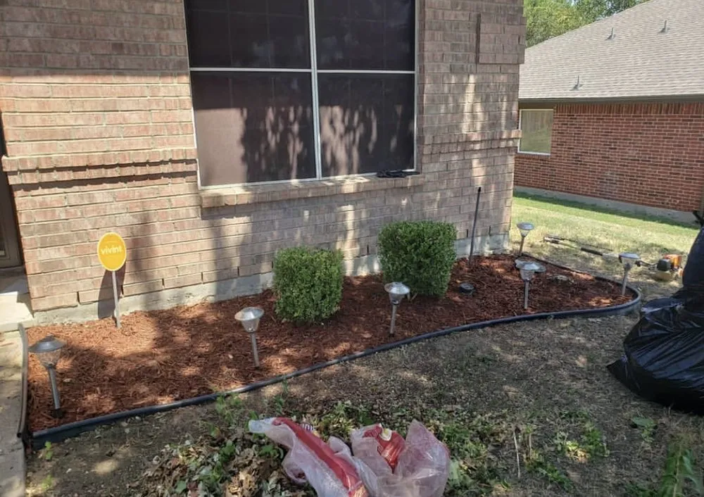 Trusted yard cleanup service for homes in Fort Worth, TX by Nature’s Barber Tx