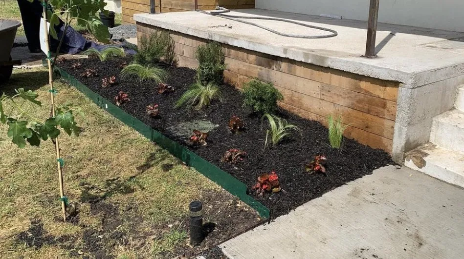 Expert yard cleanup service in Fort Worth, TX - Nature’s Barber Tx