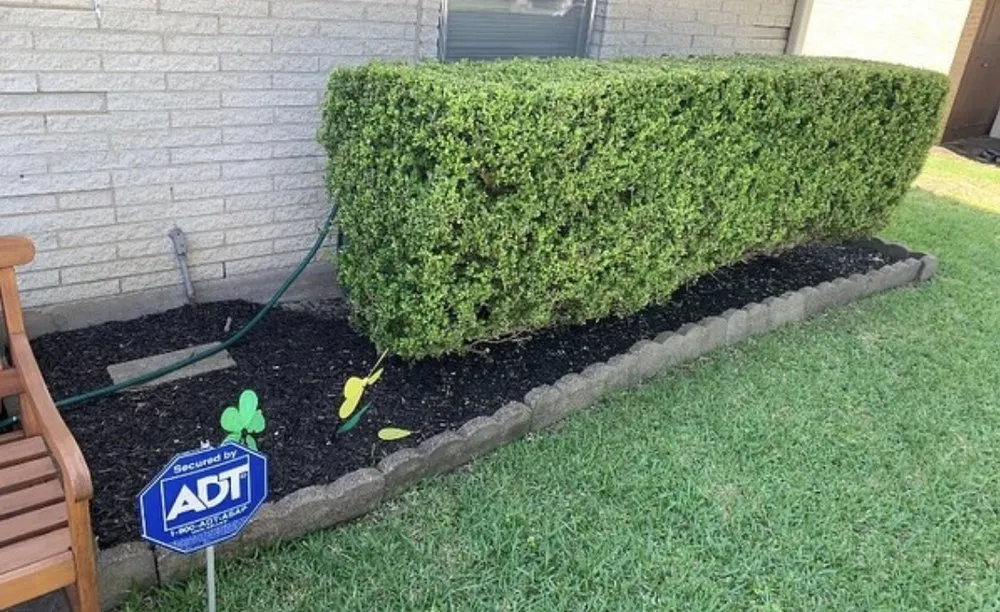 Trusted yard maintenance for homes across Fort Worth, TX - Nature’s Barber Tx