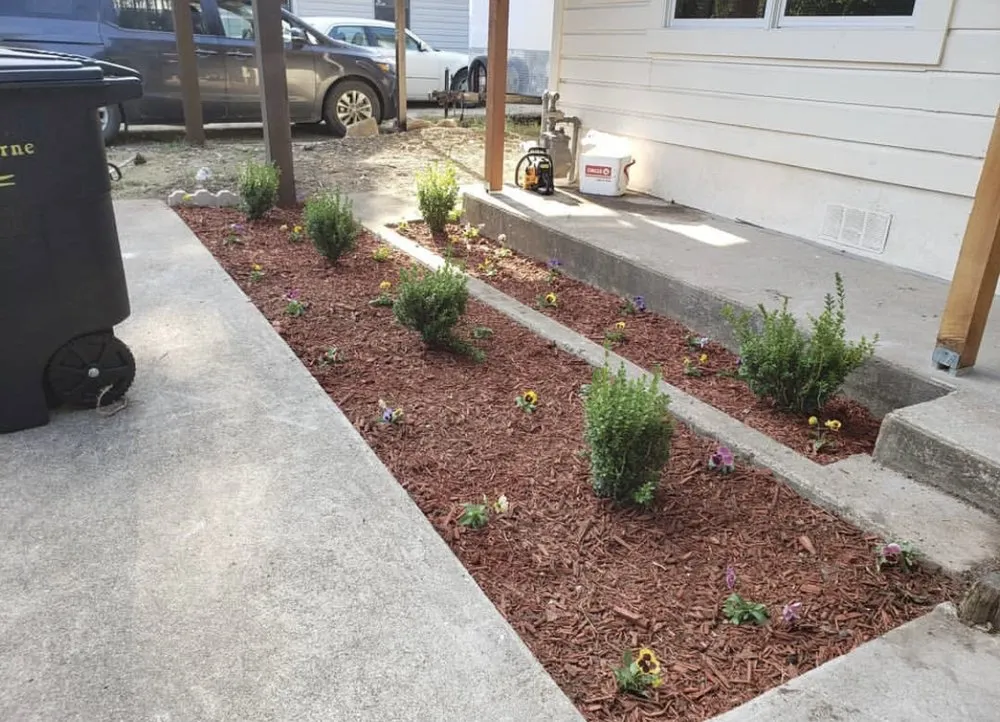 Reliable outdoor landscaping for beautiful yards across Fort Worth, TX - Nature’s Barber Tx