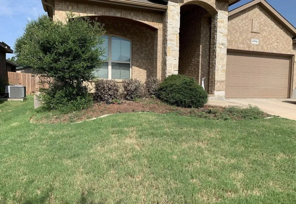 Trusted yard maintenance in Fort Worth, TX by Nature’s Barber Tx