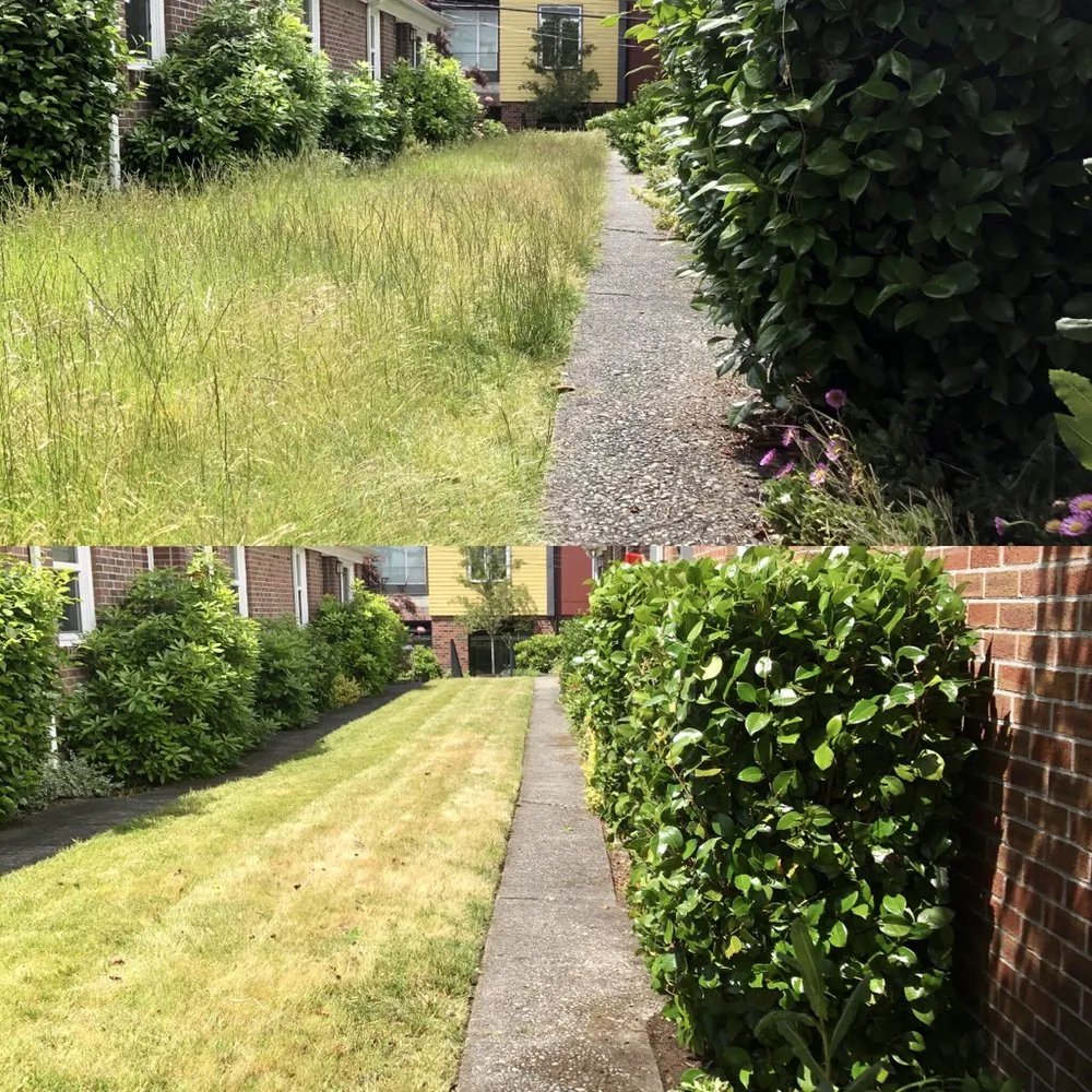 Professional outdoor landscaping for homes in University Place, WA by Nature's Best Friend