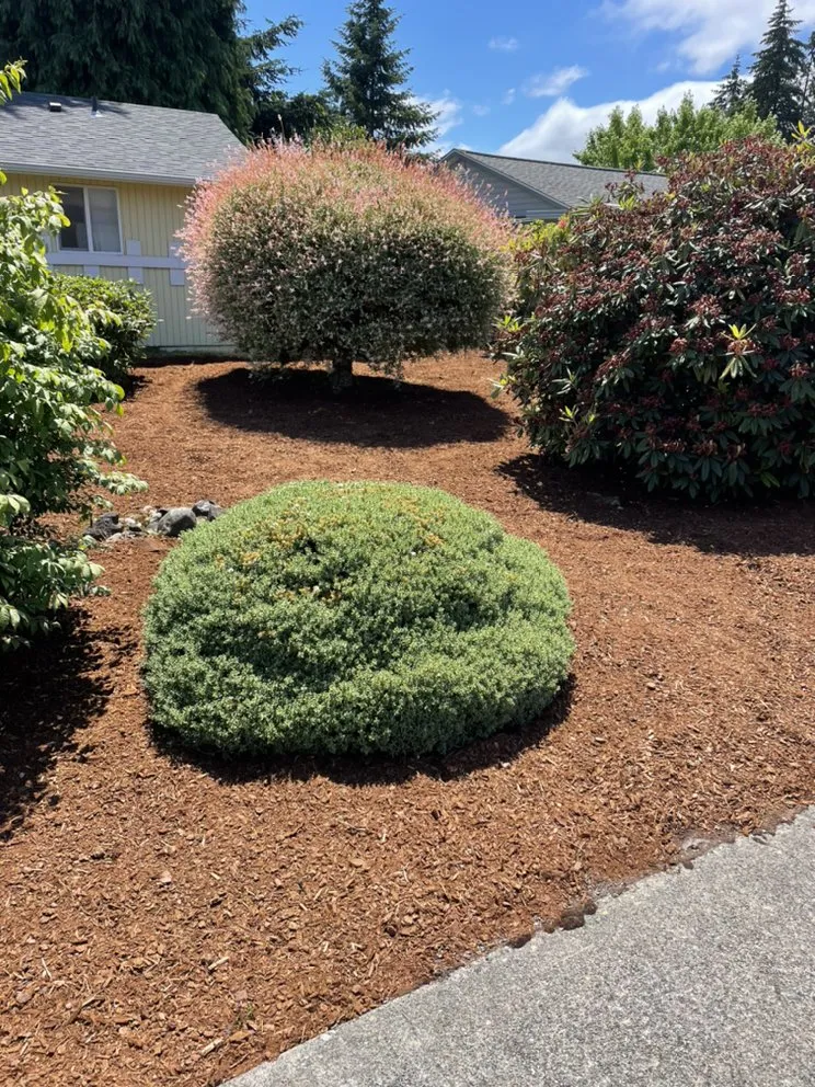 Expert yard cleanup service with custom design in University Place, WA by Nature's Best Friend
