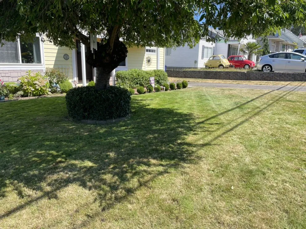 Affordable landscape design for residential properties across University Place, WA - Nature's Best Friend