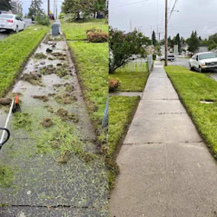 Reliable landscape installation in University Place, WA by Nature's Best Friend