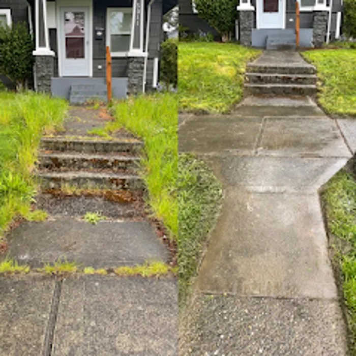 Affordable residential landscaping for year-round maintenance across University Place, WA - Nature's Best Friend