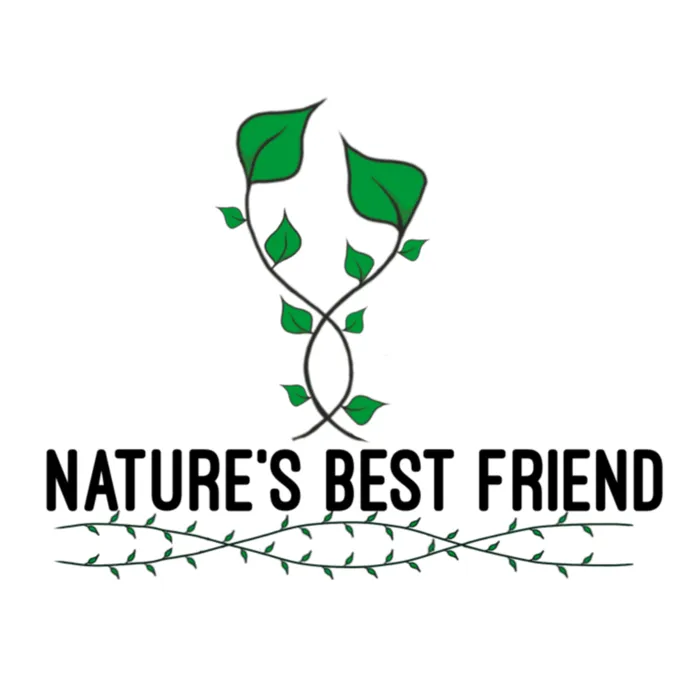 Custom garden landscaping for year-round maintenance across University Place, WA - Nature's Best Friend