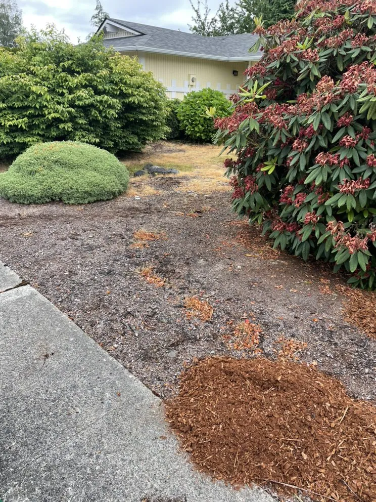 Local lawn care service for residential properties in University Place, WA by Nature's Best Friend
