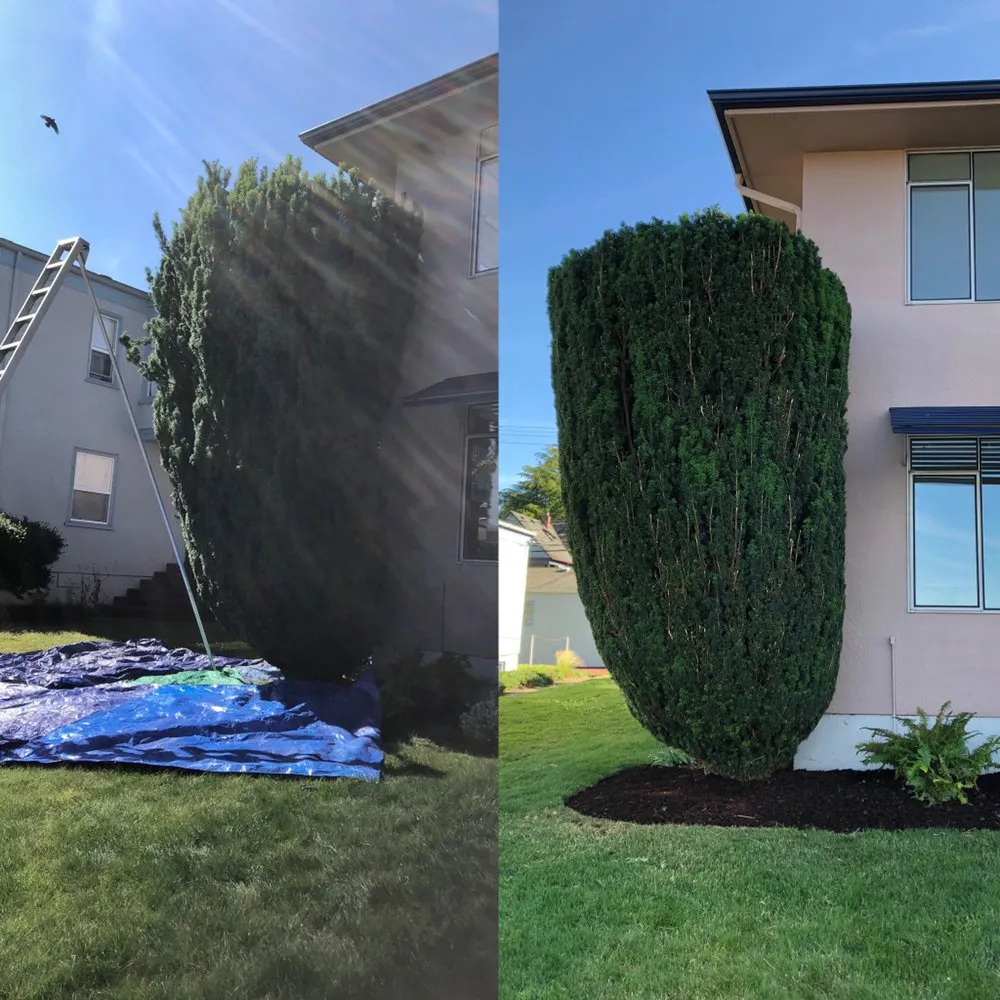 Reliable outdoor landscaping in University Place, WA by Nature's Best Friend