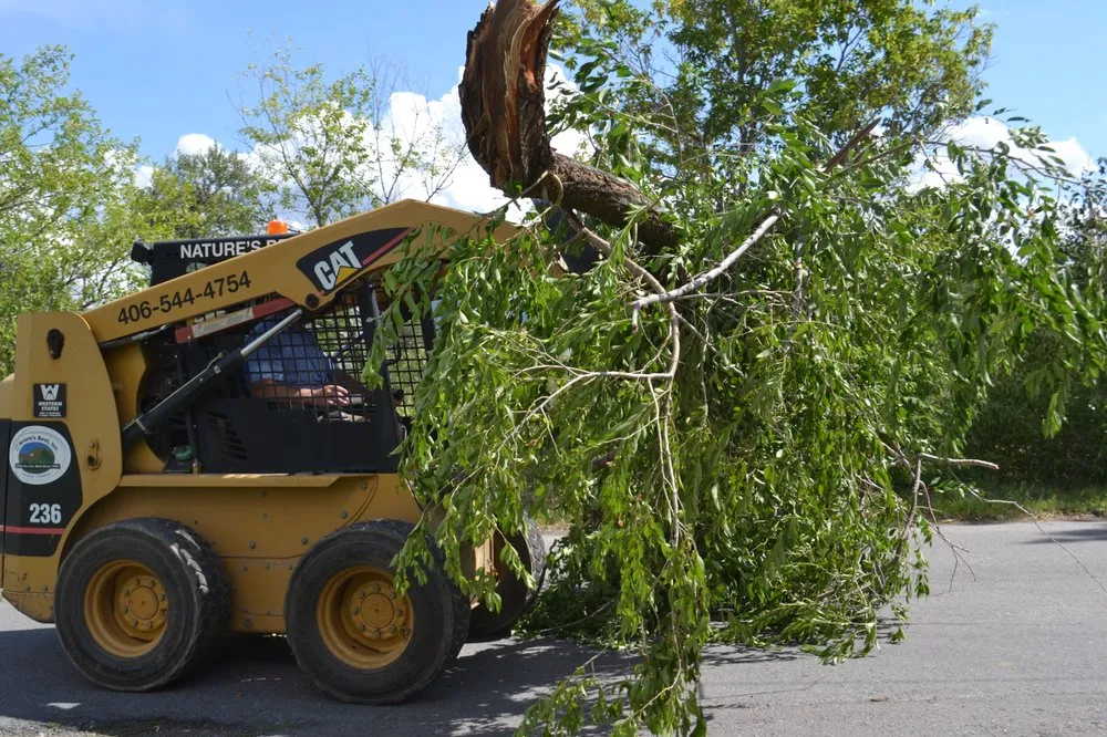 Professional landscape design for outdoor upgrades across Missoula, MT - Nature's Best