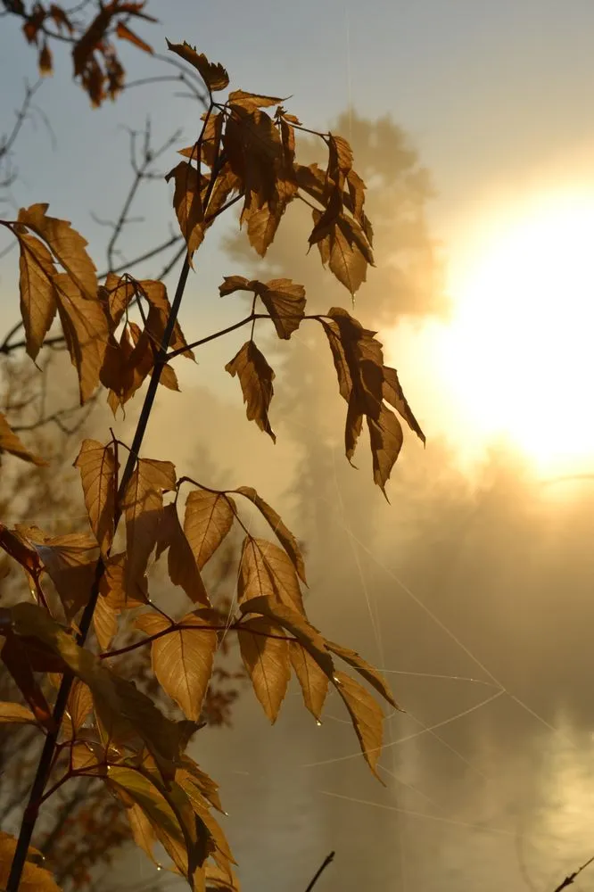 Affordable landscaping services in Missoula, MT - Nature's Best