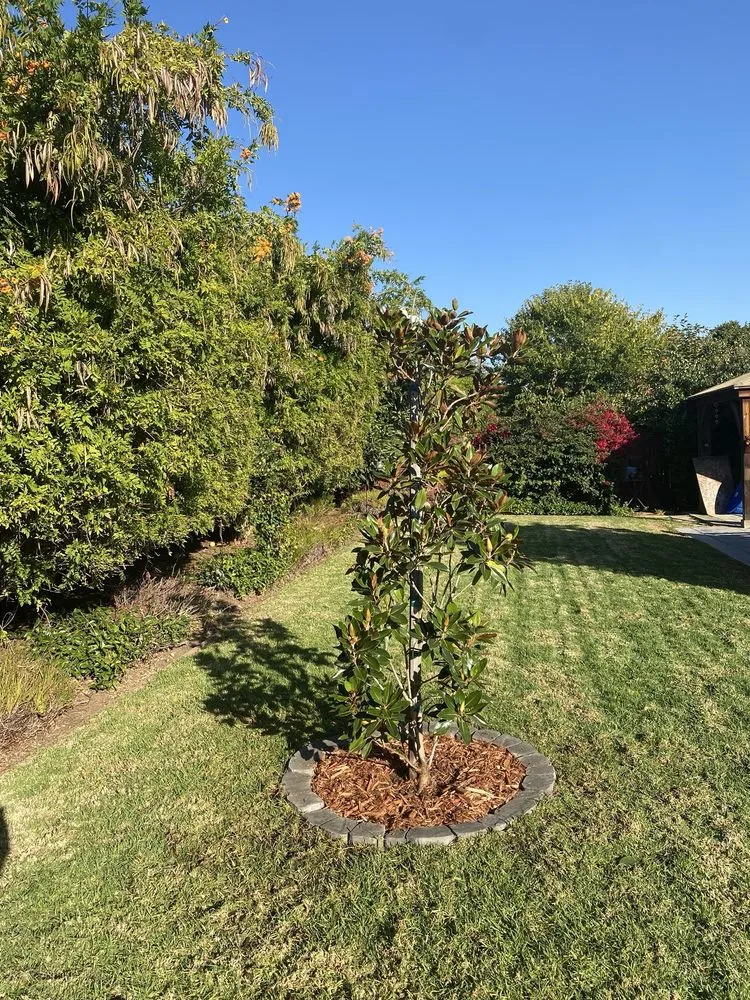 Affordable yard maintenance experts serving Camarillo, CA - Nature's Best Nursery