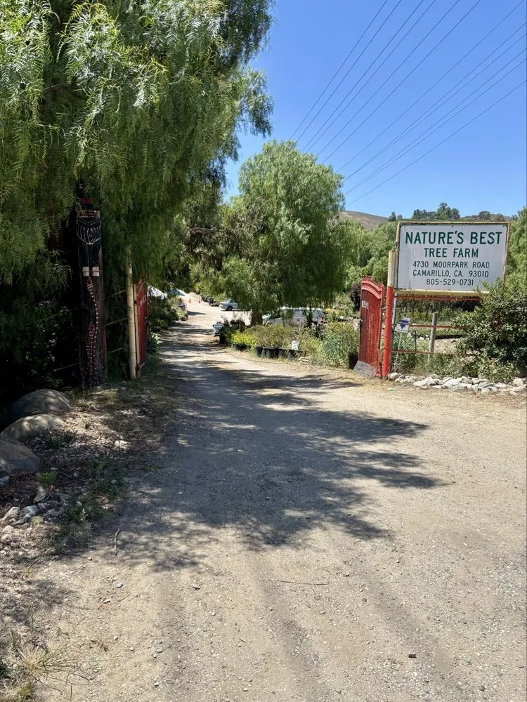 Custom lawn mowing service near you in Camarillo, CA by Nature's Best Nursery
