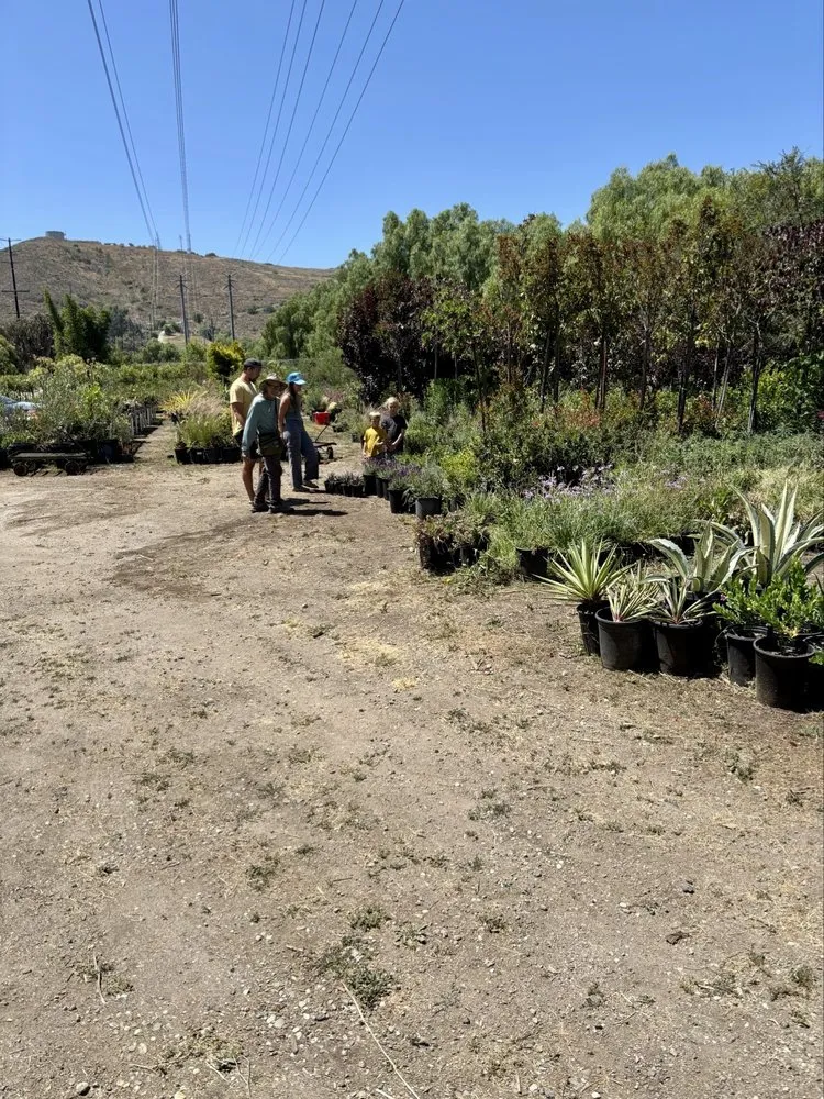 Custom lawn mowing service in Camarillo, CA by Nature's Best Nursery