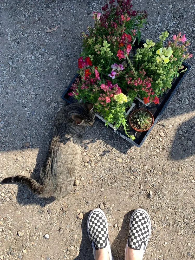 Custom garden landscaping in Camarillo, CA by Nature's Best Nursery