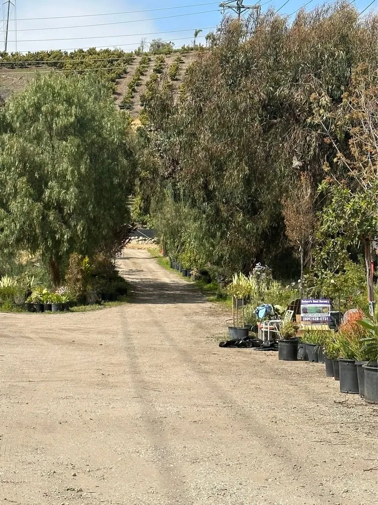 Top-rated yard cleanup service experts serving Camarillo, CA - Nature's Best Nursery