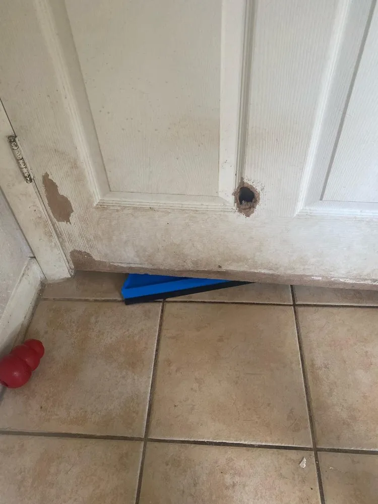 Trusted outdoor landscaping for beautiful yards in New Haven, CT by Nature’s Best Renovations