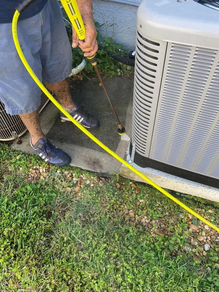 Professional yard cleanup service in New Haven, CT - Nature’s Best Renovations