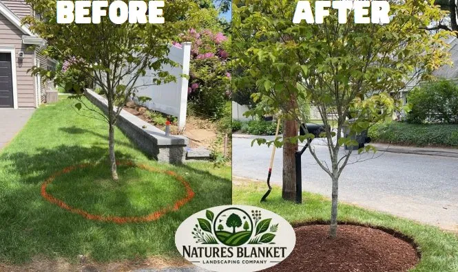 Trusted lawn mowing service with custom design in Lawrenceville, GA by Natures Blanket