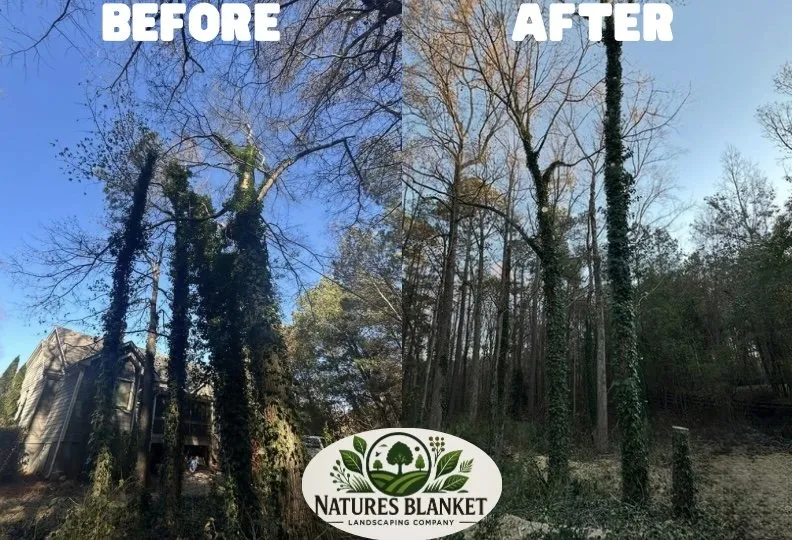 Expert yard cleanup service with custom design in Lawrenceville, GA by Natures Blanket