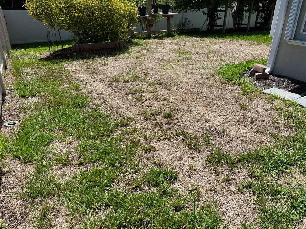 Local lawn care service for homes in Alva, FL by Nature's Blueprint