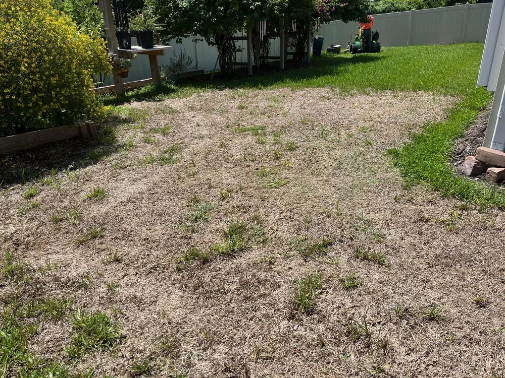 Affordable residential landscaping in Alva, FL - Nature's Blueprint