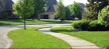 Local landscape installation experts serving Alva, FL - Nature's Blueprint