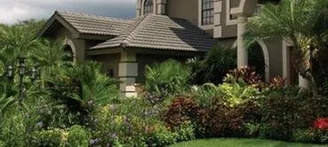 Expert outdoor landscaping experts serving Alva, FL - Nature's Blueprint