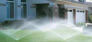 Trusted landscape design experts serving Alva, FL - Nature's Blueprint