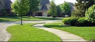 Custom yard cleanup service near you across Alva, FL - Nature's Blueprint
