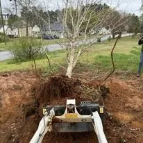 Professional lawn care service experts serving Greer, SC - Nature's Canopy