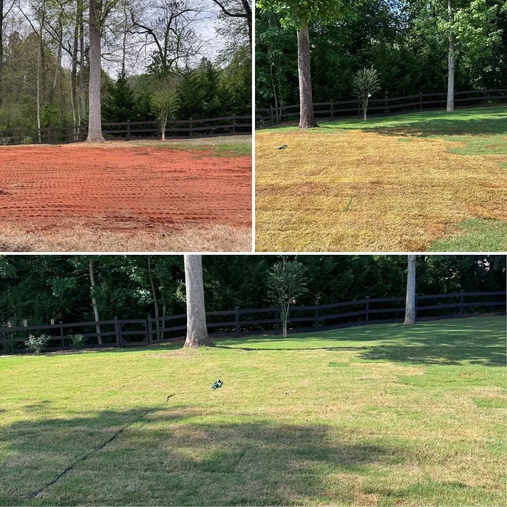 Trusted yard cleanup service in Greer, SC by Nature's Canopy