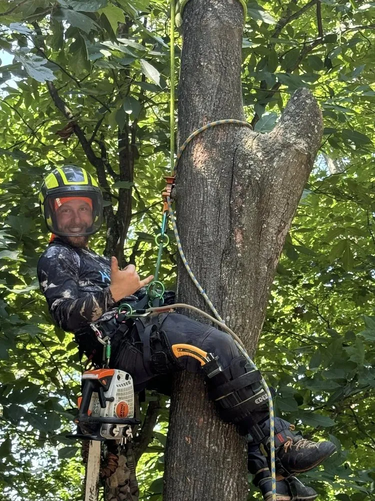 Professional yard cleanup service in Greer, SC - Nature's Canopy