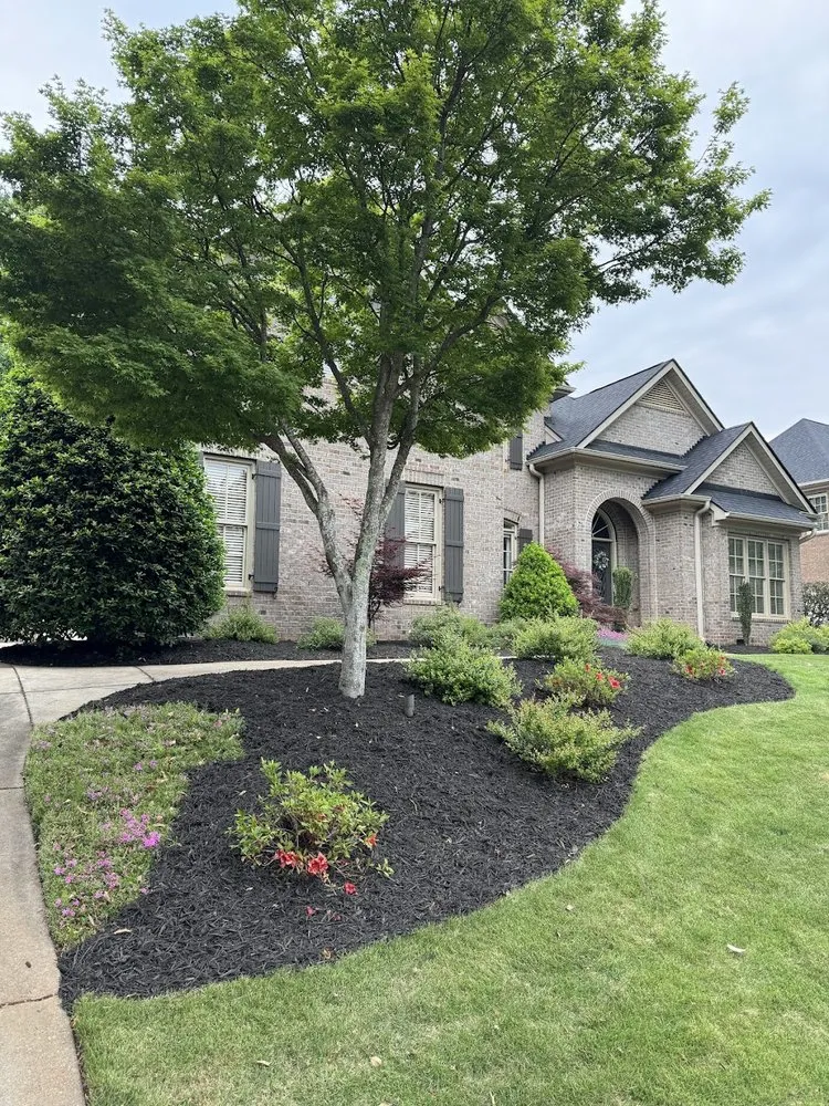 Local yard maintenance near you across Greer, SC - Nature's Canopy