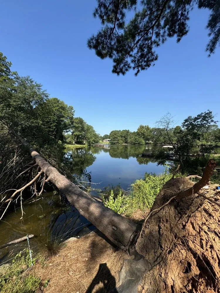 Affordable landscape installation for beautiful yards in Greer, SC by Nature's Canopy