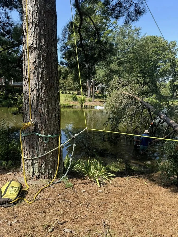 Expert landscape installation in Greer, SC - Nature's Canopy