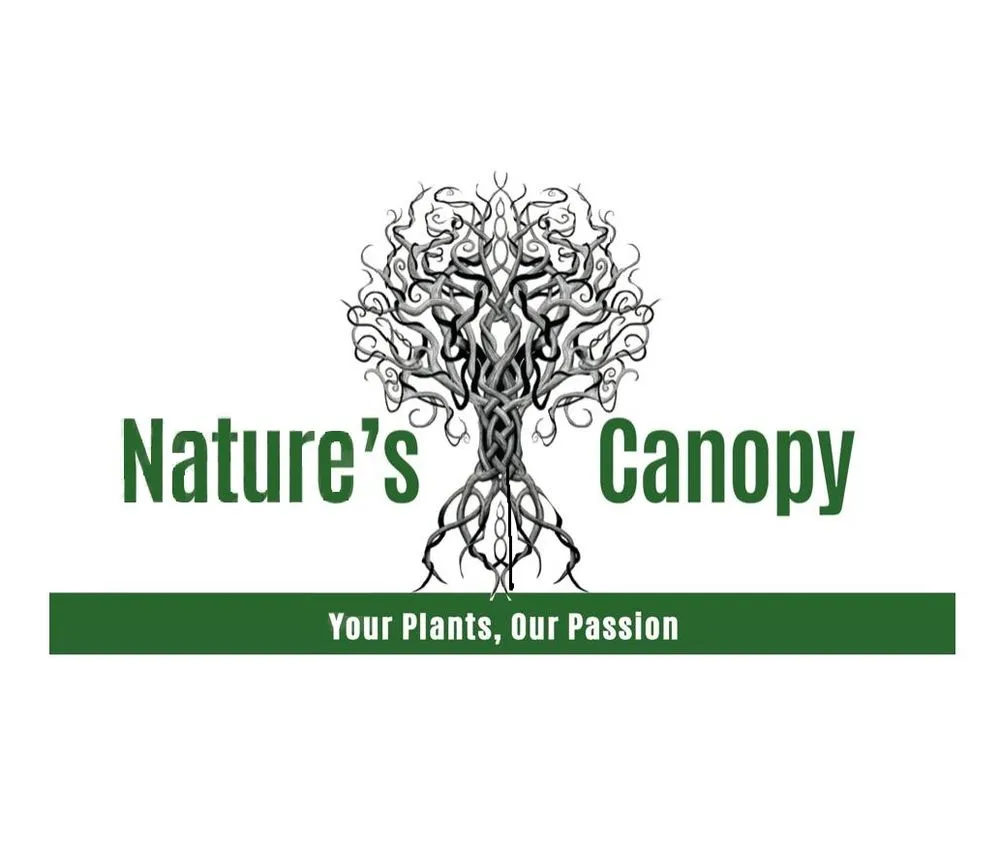 Local lawn mowing service in Greer, SC - Nature's Canopy