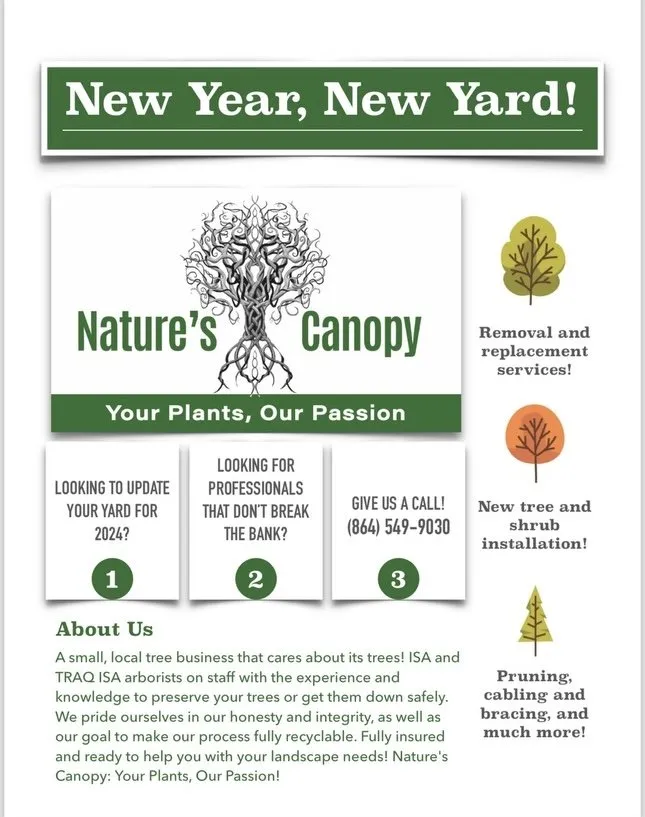 Affordable yard cleanup service experts serving Greer, SC - Nature's Canopy