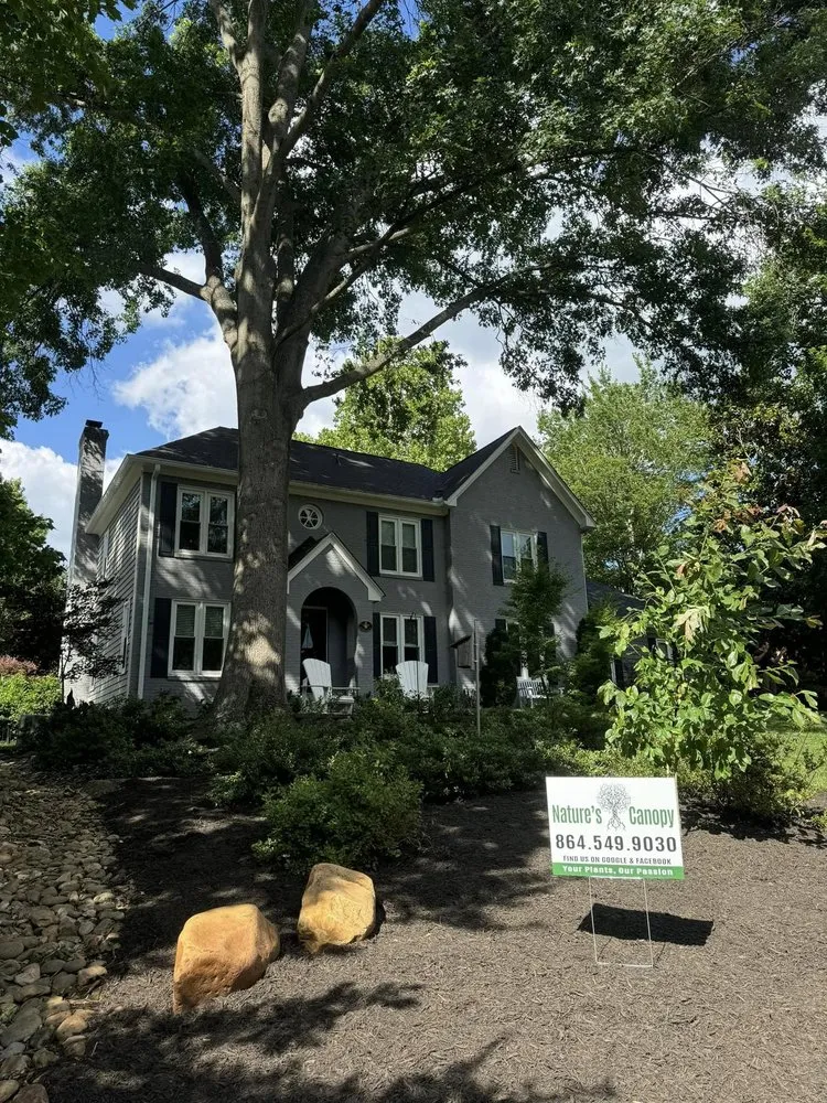 Expert lawn mowing service for homes in Greer, SC by Nature's Canopy