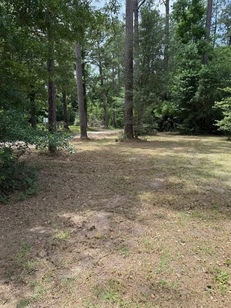 Top-rated outdoor landscaping in Folsom, LA - Nature's Canvas