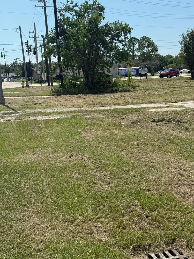 Professional yard maintenance for homes in Folsom, LA by Nature's Canvas