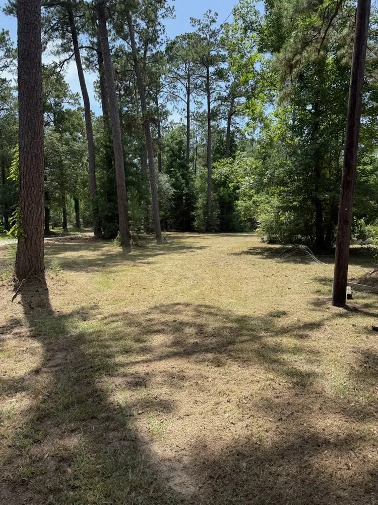 Expert outdoor landscaping in Folsom, LA - Nature's Canvas