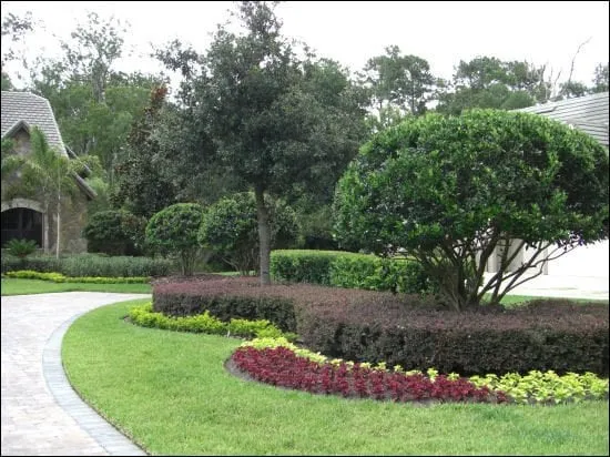 Local residential landscaping in Longwood, FL by Nature's Care Landscaping