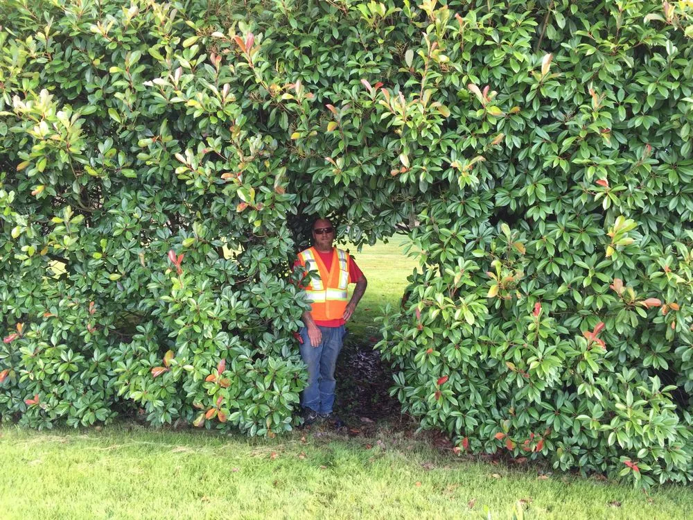 Affordable outdoor landscaping in Kalispell, MT by Natures Caretaker