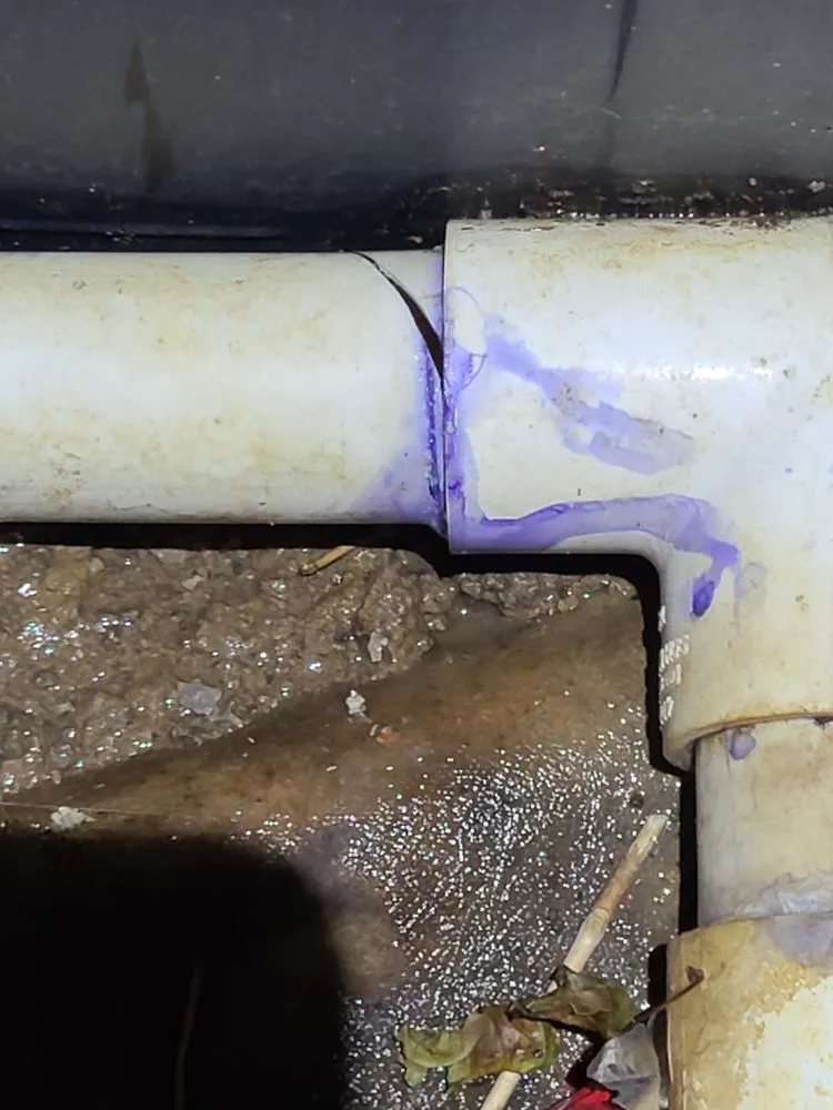 Professional garden landscaping in Greenwood Village, CO - Natures Carpet Lawn & Sprinkler